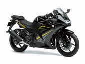 2013 Kawasaki Ninja 250R photo